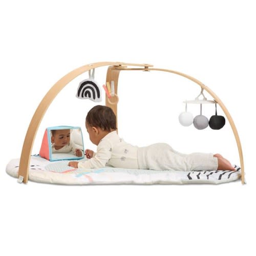 Discoverosity Play Gym