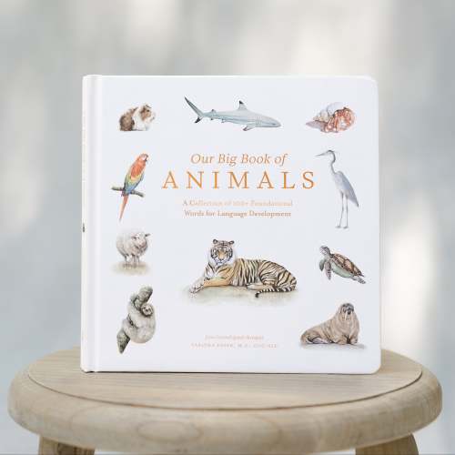 Our Big Book of Animals - Tabitha Paige