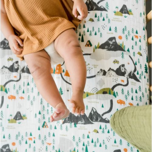 National Parks Crib Sheet