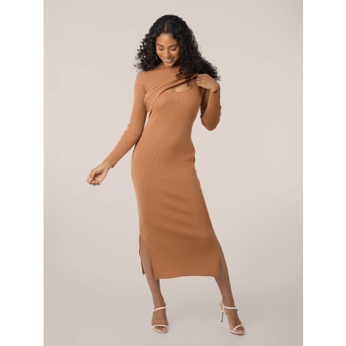 2-in-1 Maternity and Nursing Midi Dress