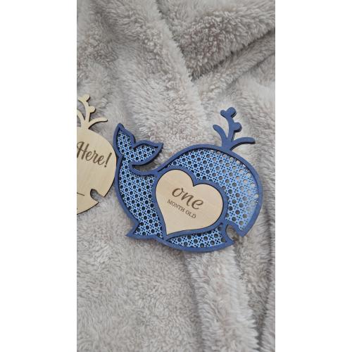 Baby Monthly Milestone Whale, photo prop