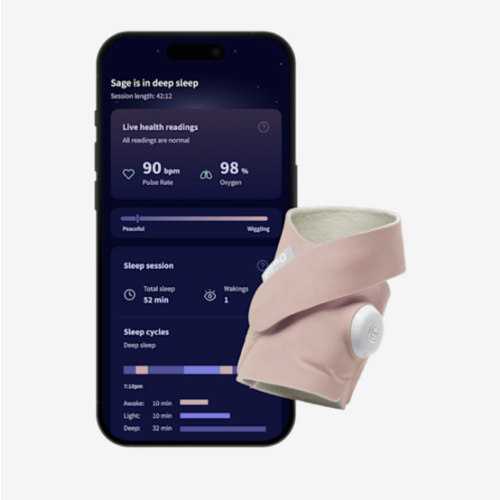 Dream Sock® – Owlet US