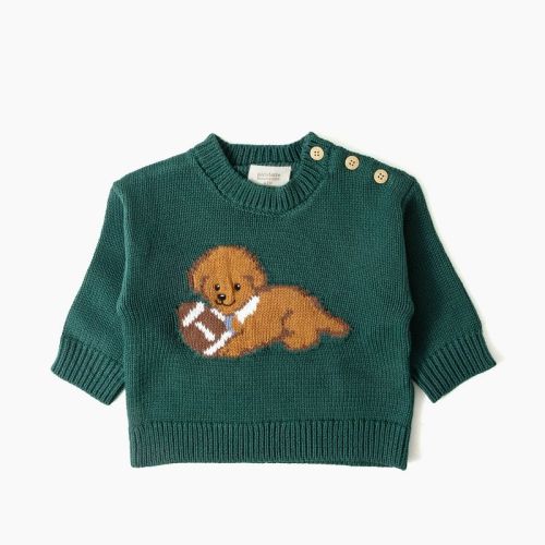 Picolette by Olivia Culpo Baby Boys' Oliver Dog Long Sleeve Crewneck Pullover Sweater - Green 0-3M