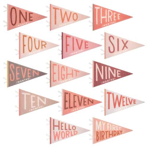 Blushing Meadow Baby Milestone Pennant Set - Floral Monthly Photo Props for Girls