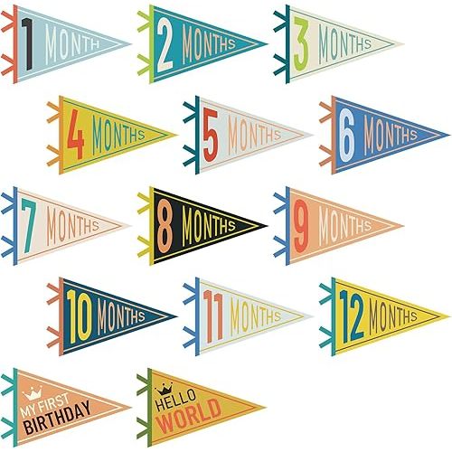 VitalCozy 14 Pcs Baby Milestone Pennant Signs Monthly Milestone Banner Flags Pennant Triangle Banner Age Flag Signs for Boy Girl Newborn Birthday Party Decor(Mixed Colors)