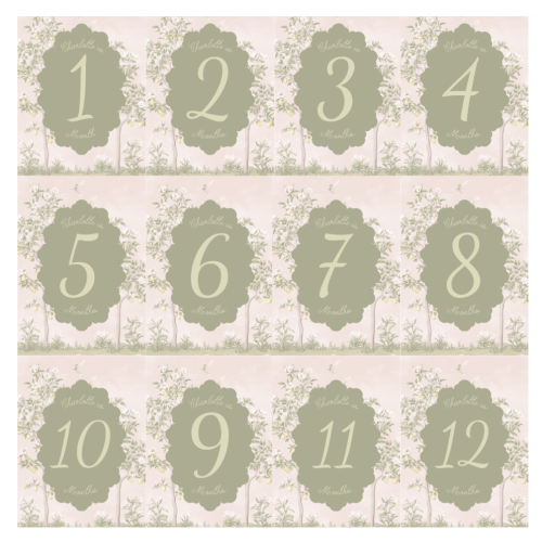 Pink Chinoiserie Custom Milestone Markers – Eva Note Co
