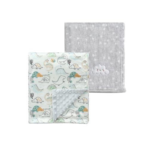 CREVENT 2Pcs 30''X40'' Cute Cozy Fluffy Warm Baby Blankets for Infants Toddlers' Bedding Crib Cot Stroller - Grey Cloud + Minky Dinosaur