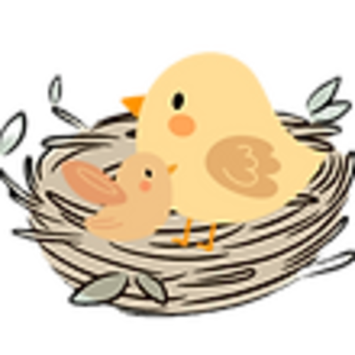 Nesting Packages & Investments | The Little Nesting Co