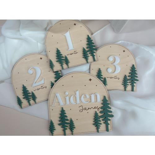 Forest Monthly Milestone Markers | Milestone Marker | Wood First Year Photo Prop | Monthly Age Marker | New Parent Gift | Baby Shower Gifts