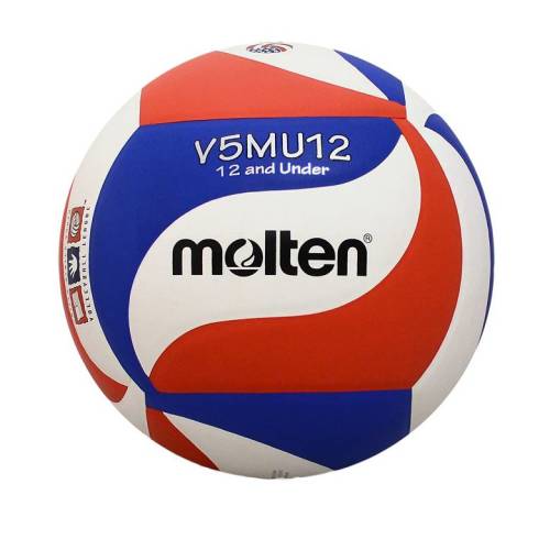 Molten Youth Indoor Volleyball | Dick's Sporting Goods