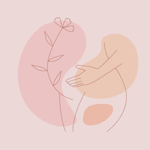 Doula Cash Fund