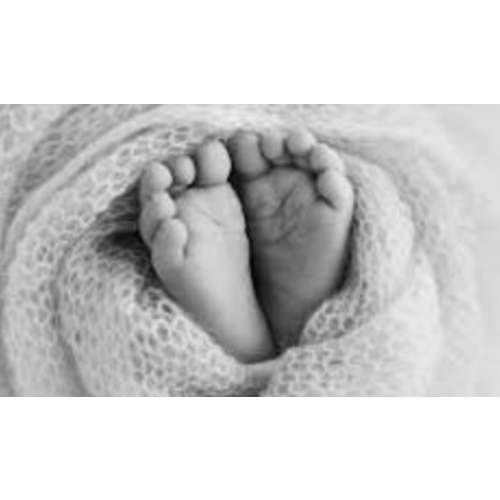 Newborn Family Photo Session