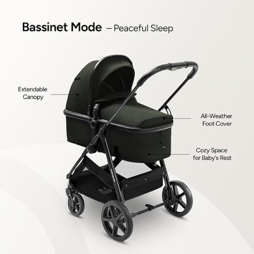 2-in-1 Stroller