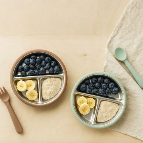 Stainless Steel Plate Set of 2 (Mocha Mousse & Sage Green)