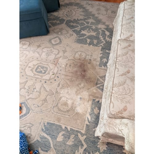 Replace the Rug Cash Fund