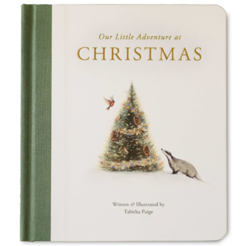 Our Little Adventure at Christmas: Featuring Foundational Language Concepts and Lessons on the Joy of Giving (Tabitha Paige Children's Book Series): Paige MS CCC-SLP, Tabitha, Paige Tate & Co.: 9781963183542: Amazon.com: Books