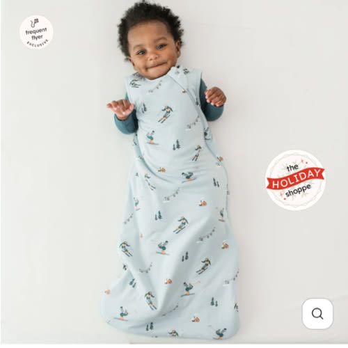 Sleep Bag in Ski 1.0