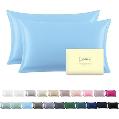 Silk Pillow Cases 2 Pack,Soft Breathable and Sliky Standard Size Pillow Cases Set of 2,Natural Mulberry Silk Pillowcase Set of 2 for Hair and Skin with Hidden Zipper (Sky Blue,20"X 26",2pcs)