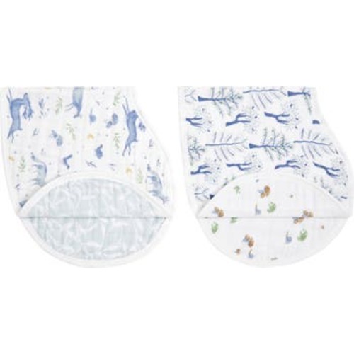 2-Pack Organic Cotton Burpy Bibs