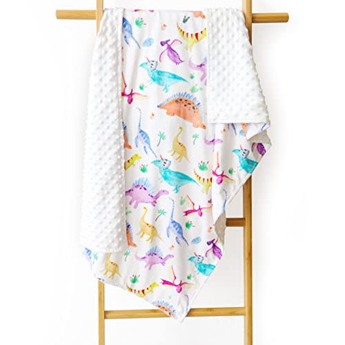Baby Mink Blankets, Dinosaur Toddler Blanket for Boys Girls, Soft Newborn Blanket with Dotted Backing, Double Layer, Crib Receiving Blanket for Nursery, Shower Gifts, 30 X 40 Inches
