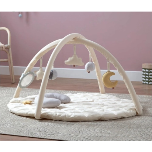 Organic Cotton Cozy Baby Playmat with Mirror, Tummy Pillow and 6 Toys