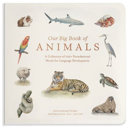 Our Big Book of Animals