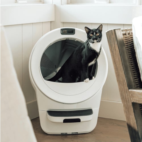 Litter Robot Cash Fund