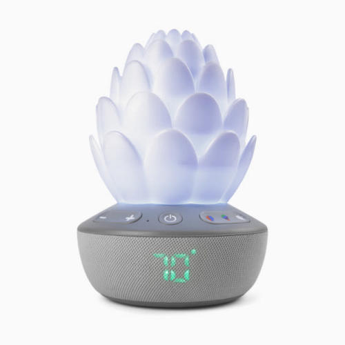 Skip Hop Succulent Glow Sound Machine - Succulent