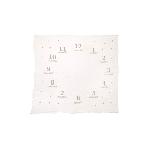 Milestone Blanket and Prop Set