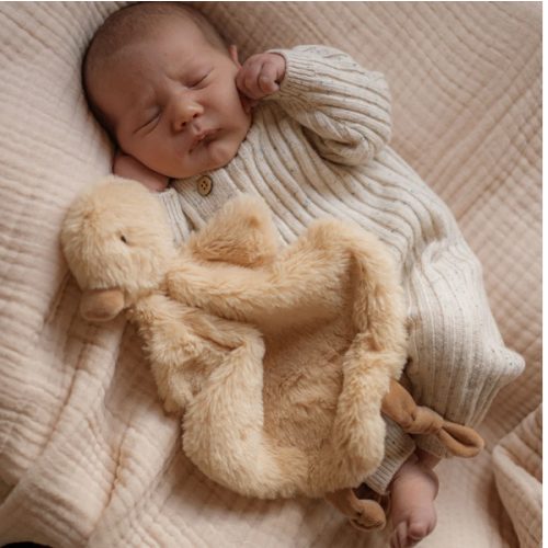 Quacks the Comforter Toy – Pop Ya Tot