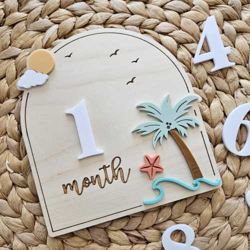 Ocean Beach Monthly Milestone Disc | Baby Monthly Discs for Photos | Interchangeable Numbers Monthly Photo Prop Set | Newborn Photo Prop