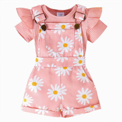 HCNTES Toddler Baby Girl Spring Summer Daily Outfit Breathable Fabric Romper Set with Elastic Bottoms for Kids Girls(Pink,3-6 Months)