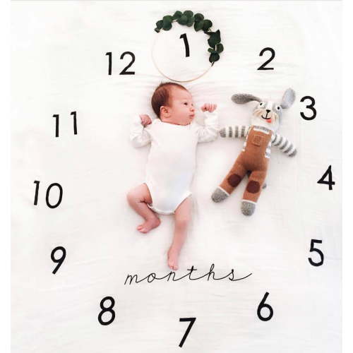 Triani Baby Monthly Milestone Blanket Boy - Neutral Newborn Month Blanket for Boy & Girl Personalized Shower Gift Soft Plush Fleece Photography Background