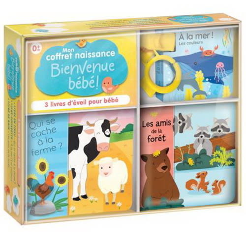 Bienvenue bébé ! Mon coffret de naissance par DELPORTE CORINNE & AL