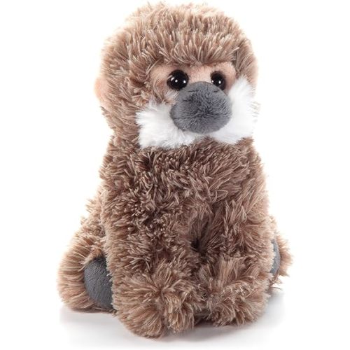 The Petting Zoo Squirrel Monkey Stuffed Animal Plushie, Gifts for Kids, Wild Onez Babiez Wildlife Animals, Monkey Plush Toy 6 inches