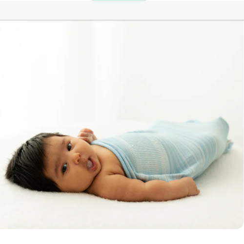 Blue Swaddle Sleep Sack – Swaddelini