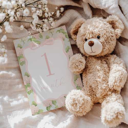 Printed Light Pink and Green Floral Milestone Cards, Gingham and Floral Ribbon Baby Monthly Milestone Keepsake Cards, Baby Shower Gift, 2824