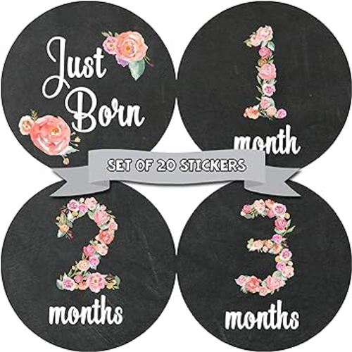 Baby Monthly Stickers - Baby Milestone Stickers - Newborn Girl Stickers - Month Stickers for Baby Girl - Baby Girl Stickers - Newborn Monthly Milestone Stickers - Set of 20