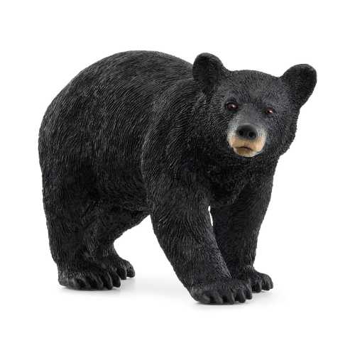 American Black Bear 14869 | Schleich USA Inc.