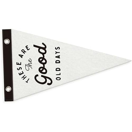 Kids Room Decor Pennant Banners Flags,Nursery Decor,These Are The Good Old Days Sign,Inspirational Wall Decor Hanging Wall Felt Banner for Home,Kids Boys Room, Nursery Bedroom Playroom 7.4x14 Inch