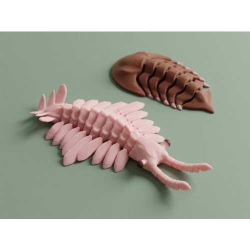 Articulated Trilobite Anomalocaris Toy Set, Ocean Creatures
