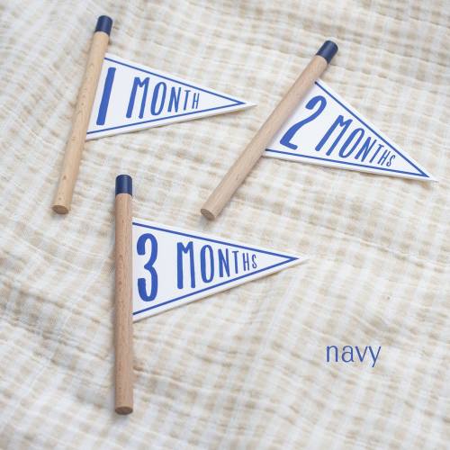 Baby Milestone Pennant Flags: 1-12 Months Photo Props