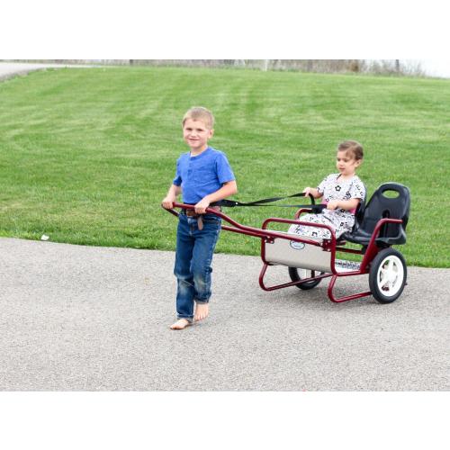 AmishToyBox.com Lollipop Express Double Stroller-Cart Combo, Easily Converts From Stroller to Horsey Cart, Play Harness Included