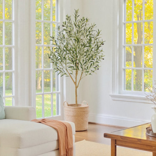 Primrue Faux Olive Tree with Real Wood Trunk for Home Office Patio Front Door Porch Room Décor & Reviews | Wayfair