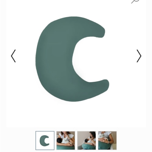 Feeding Support | Moss