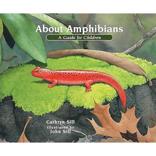 About Amphibians: A Guide for Children (Educational Science Book About Frogs, Toads, Salamanders, & More)