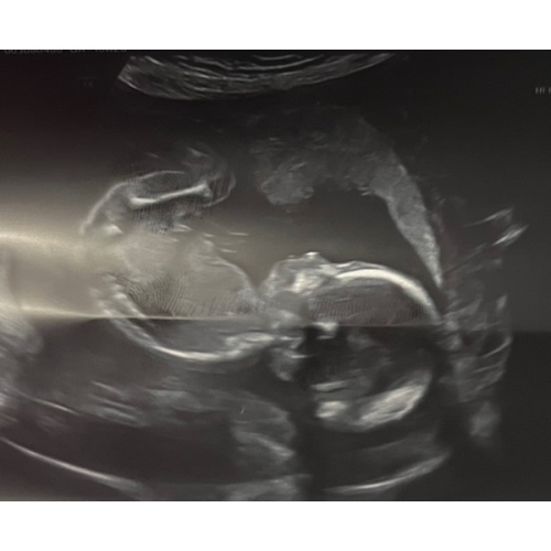 Babylist Shop Gift Card