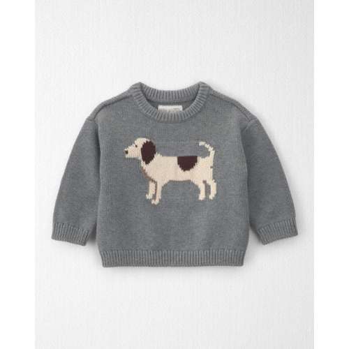 Baby Organic Cotton Dog Sweater Knit Pullover - Little Planet | Carter's