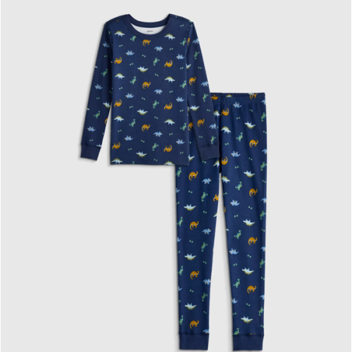 100% Organic Cotton Long Sleeve and Pant Pajama Set in Dino