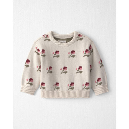 Baby Organic Cotton Sweater Knit Pullover in Wildflower Maize - Little Planet | Carter's